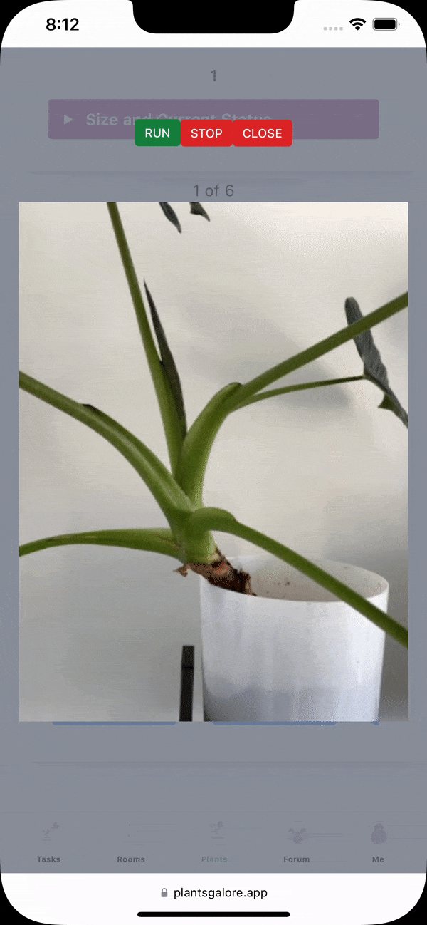 Discover Free Plant Identifier and Plant Care App Plants Galore